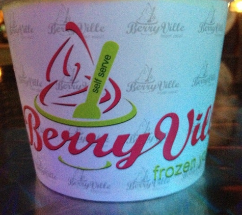 BerryVille's Frozen Yogurt - Deland, FL