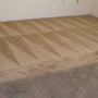 Action Plus Carpet Care & Restoration