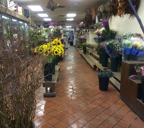 Compo Farm Flowers - Westport, CT