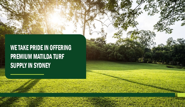 Aussie Turf and Soil - Freemans Reach, NSW. We take pride in offering premium Matilda Turf supply in Sydney.