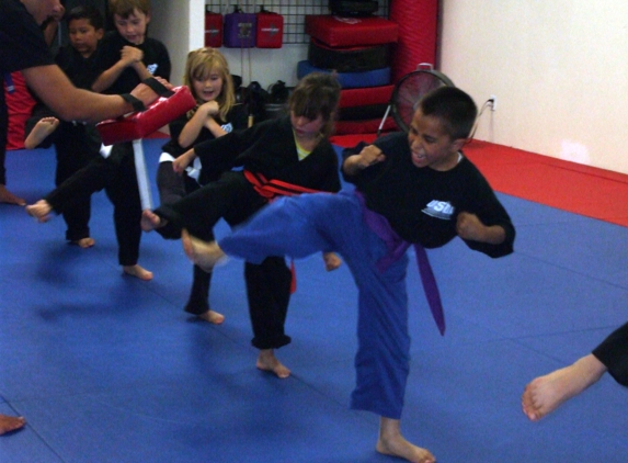 United Self Defense Academy Hayastan MMA - Palmdale, CA