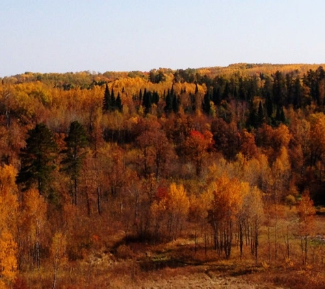 Chippewa National Forest - Cass Lake, MN