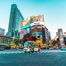 N & K Travel Service - Sightseeing Tours
