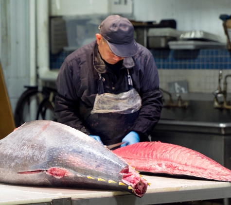 Fulton Fish Market - Bronx, NY