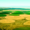 Navajo Agricultural Products Industry, NAPI gallery