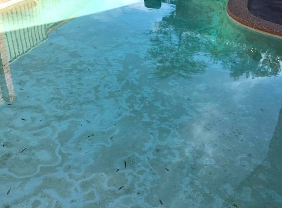 Sharkies Pools Service