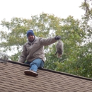 WEAVER'S WILDLIFE CONTROL, LLC - Animal Removal Services