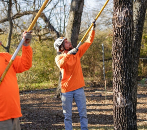 Price Right Professional Landscaping and Tree Service - Arlington, TX. Tree Trimming