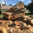 Troyer Tree Service - Stump Removal & Grinding