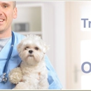 Veterinary Emergency Services - Veterinarians