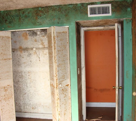 A Accredited Mold Inspection Service, Inc.. Mold on colorful walls and closet in a Miami condo. Photo taken by A Accredited Mold Inspection Service.