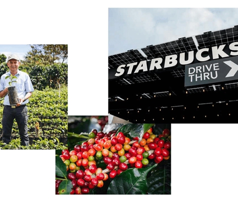 Starbucks Coffee - Wilmette, IL