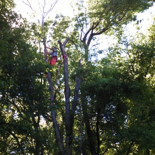 Kivisto West Tree Service LLC - Dassel, MN