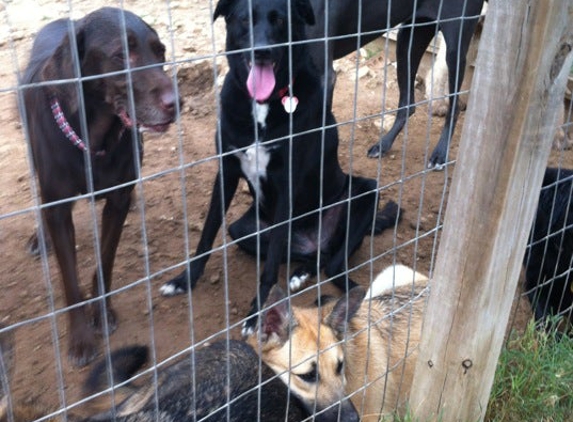 Happy Mailman Kennel - Austin, TX