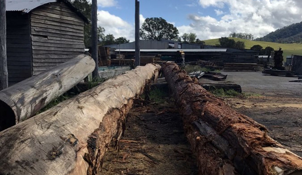 Long Flat Timbers - Yarras, NSW