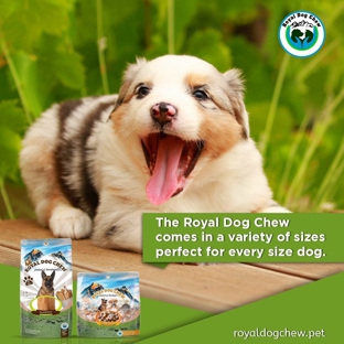 Royal dog Chew - Fort Washington, PA. BETTER TASTING & FAT-FREE DOG CHEWS TREATS
Your dog deserves the healthiest treats and with the Royal Dog Chew, you get exactly that! We have the greatest respect for dogs and the people who love them. So every day, our mission is to source the best ingredients, only use the best innovative ideas and create the most authentic, natural and high-quality treats offering the greatest nutritional value to your dog’s well-being and your peace of mind as a health-conscious dog owner.
#churpi #himalayan #organic #royaldogchew #himalayanchew #yakchew #dentaldogchew #organicdogtreats #cheesychew
#royal #dog #chew #purefromthetopoftheworld
www.royaldogchew.pet