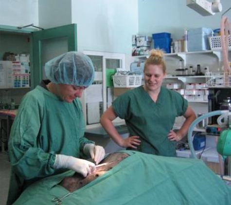 Kalgoorlie Veterinary Clinic - South Kalgoorlie, WA