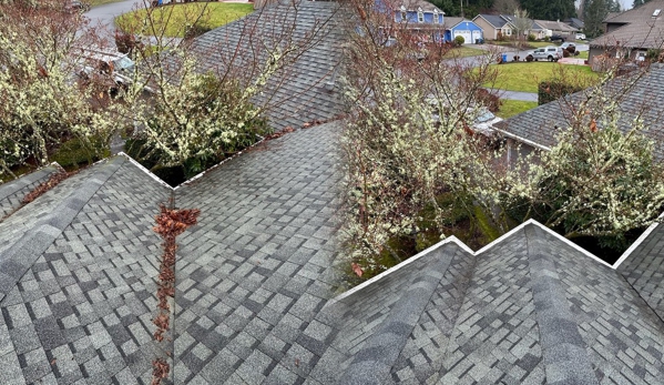 SAFE Roof Cleaning Moss Removal and Gutter Cleaning