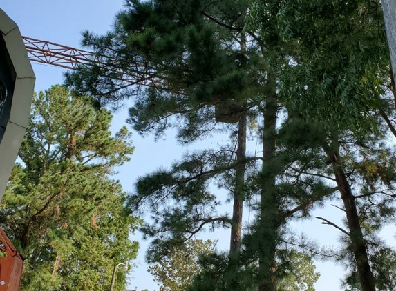 Phelps Tree Service Inc - Creswell, NC