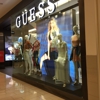 Guess gallery