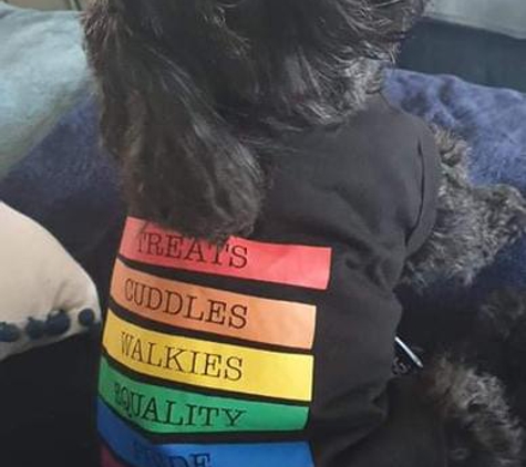 Brisbane Veterinary Specialist Centre (BVSC) - Albany Creek, QLD. Pride month, new jacket.