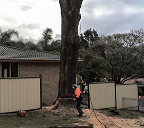 Walton's Tree Care Services