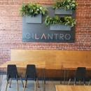 Cilantro Mexican Restaurant - Mexican Restaurants