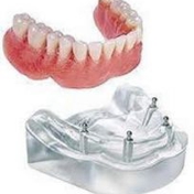 Gallery Image Number 4