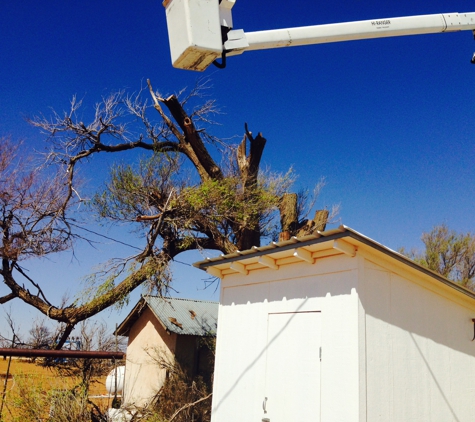 Tomcat's Tree Trimming - Wolfforth, TX