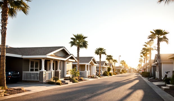 Palm Creek Golf & RV Resort - Casa Grande, AZ