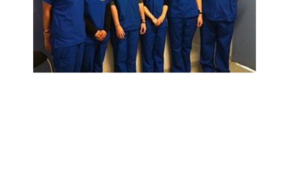 Bondi Junction Veterinary Hospital - Bondi Junction, NSW