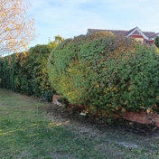 Gallery Image Number 5