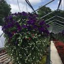 Quinn's Flower Farms - Wholesale Plants & Flowers