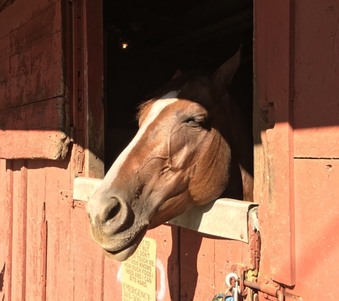 Clackamas County Scare Fair - Canby, OR