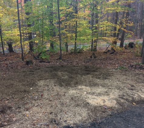 TNT Stump Grinding & Property Maintenance - Plainfield, NH. 3 Hours later the up rooted tree is back to level ground.