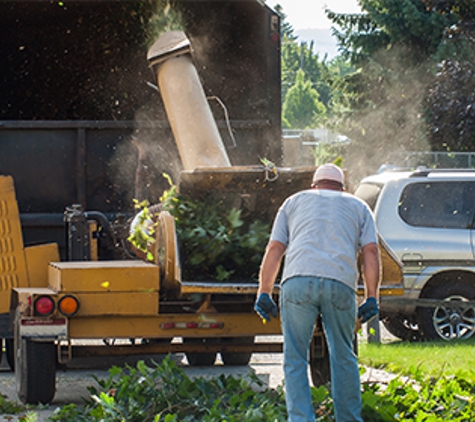 Tree Care Pros - Fort Worth, TX