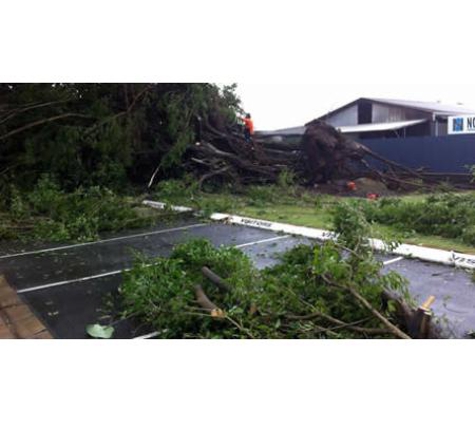 Steve Cairns Tree Service