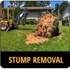 Stump Busters