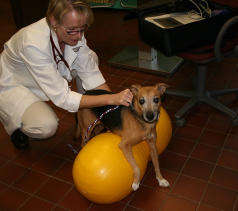 Pond Point Animal Hospital - Milford, CT