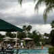 Saddlebrook Resort And Spa