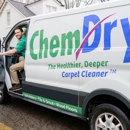 Cactus Chem-Dry - Carpet & Rug Cleaners