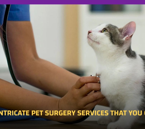Orchard Hills Veterinary Hospital. Expert & Intricate Pet Surgery Services That You Can Trust!