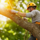 East Coast Tree Experts - Tree Service