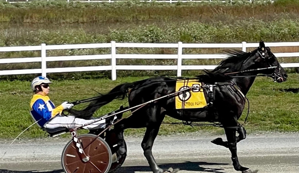 Plainridge Park Casino - Plainville, MA