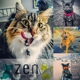 Zen Pet Care Services