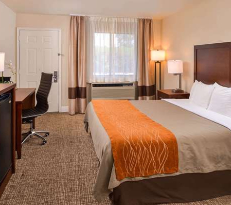 Comfort Inn & Suites Rancho Cordova-Sacramento - Rancho Cordova, CA