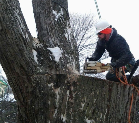 Hansen's Tree Service & Landscaping - Rossford, OH