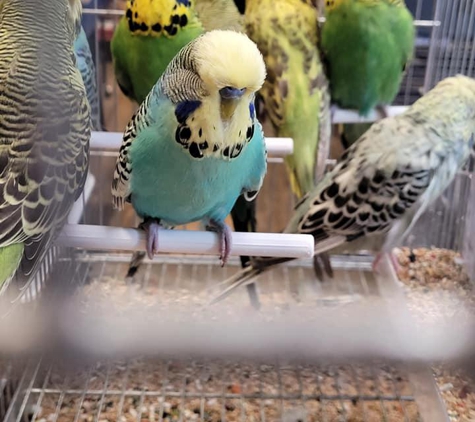 Garden State Pet Center - Audubon, NJ