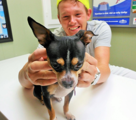 Animal Medical Center of Jonesboro - Jonesboro, AR