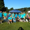 Northern Veterinary Associates gallery